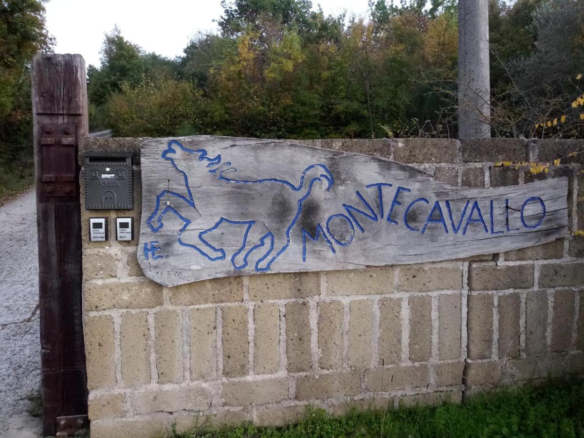 סטורניה Le Querciolaie Monte Cavallo - Upper Apartment מראה חיצוני תמונה